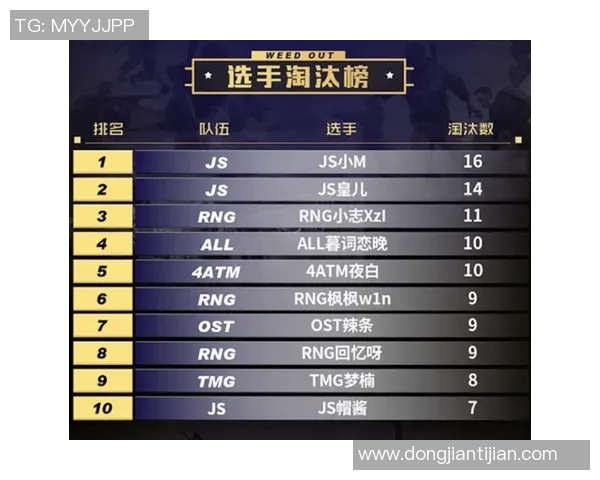 和平精英热点分析：深入探讨RNG战队的战术转型与未来发展方向